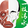 3DBody 图标